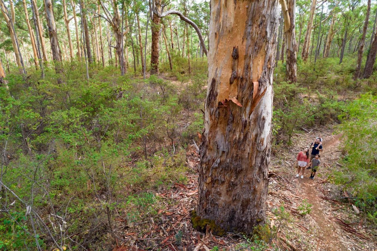 Rac Margaret River Nature Park Экстерьер фото